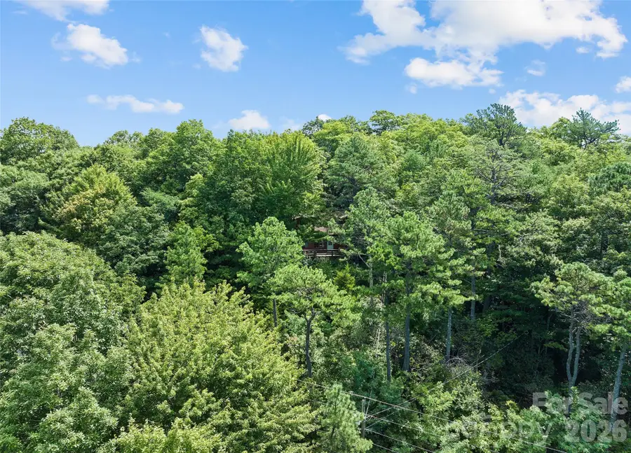 52 Steep Lane, Maggie Valley, NC 28751 - #3