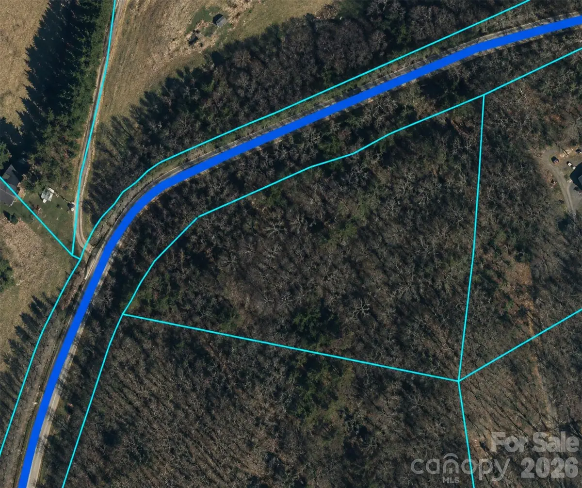 0 Clarks Branch Road, Leicester, NC 28748 - #1