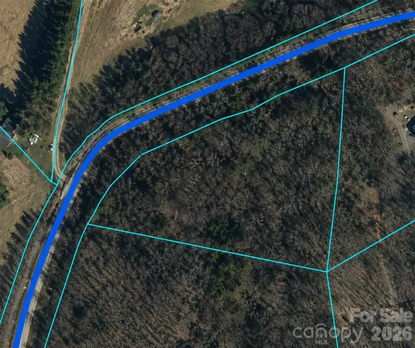 0 Clarks Branch Road, Leicester, NC 28748