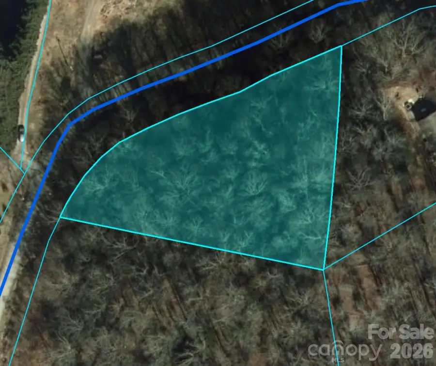 0 Clarks Branch Road, Leicester, NC 28748 - #2