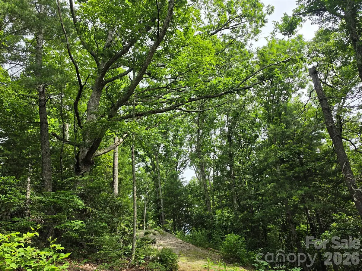 9999 Fairview Forest Drive, Fairview, NC 28730 - #1