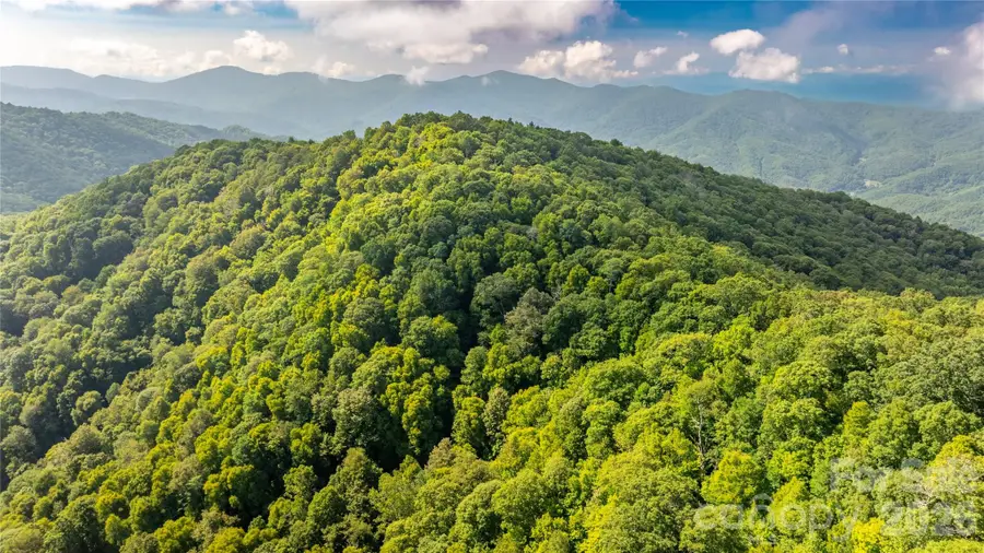 00 E Alarka Road, Bryson City, NC 28713 - #3