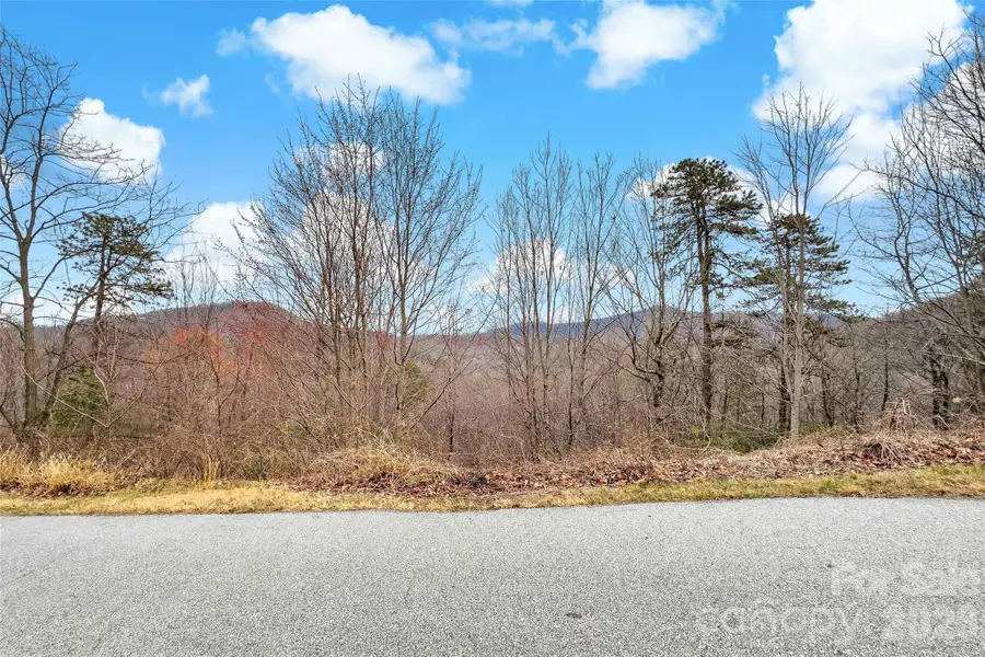 230 Catawba Falls Parkway, Black Mountain, NC 28711 - #2
