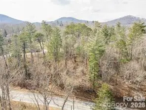 tbd Ball Gap Road, Arden, NC 28704 - #2