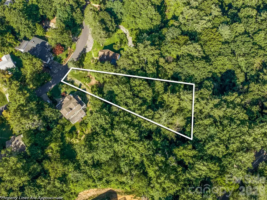 103 Aurora Drive #2, Asheville, NC 28805 - #2