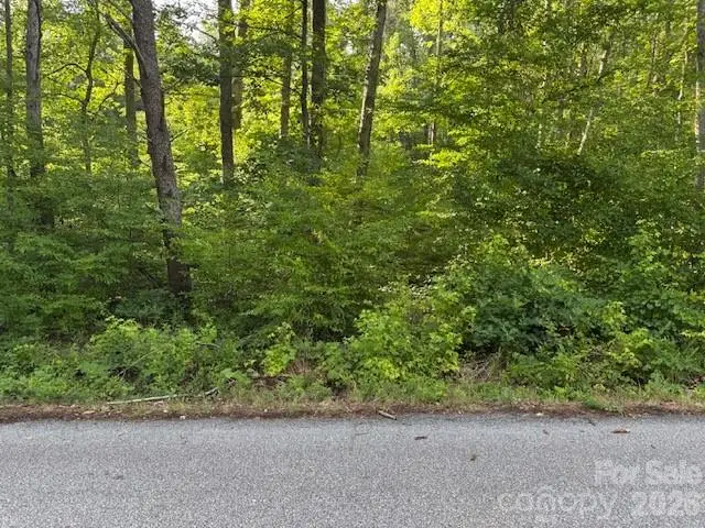 0 Lockhart Drive, Landrum, SC 29356 - #2