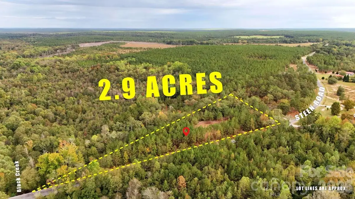 0 Steen Road, Mount Croghan, SC 29727 - #1