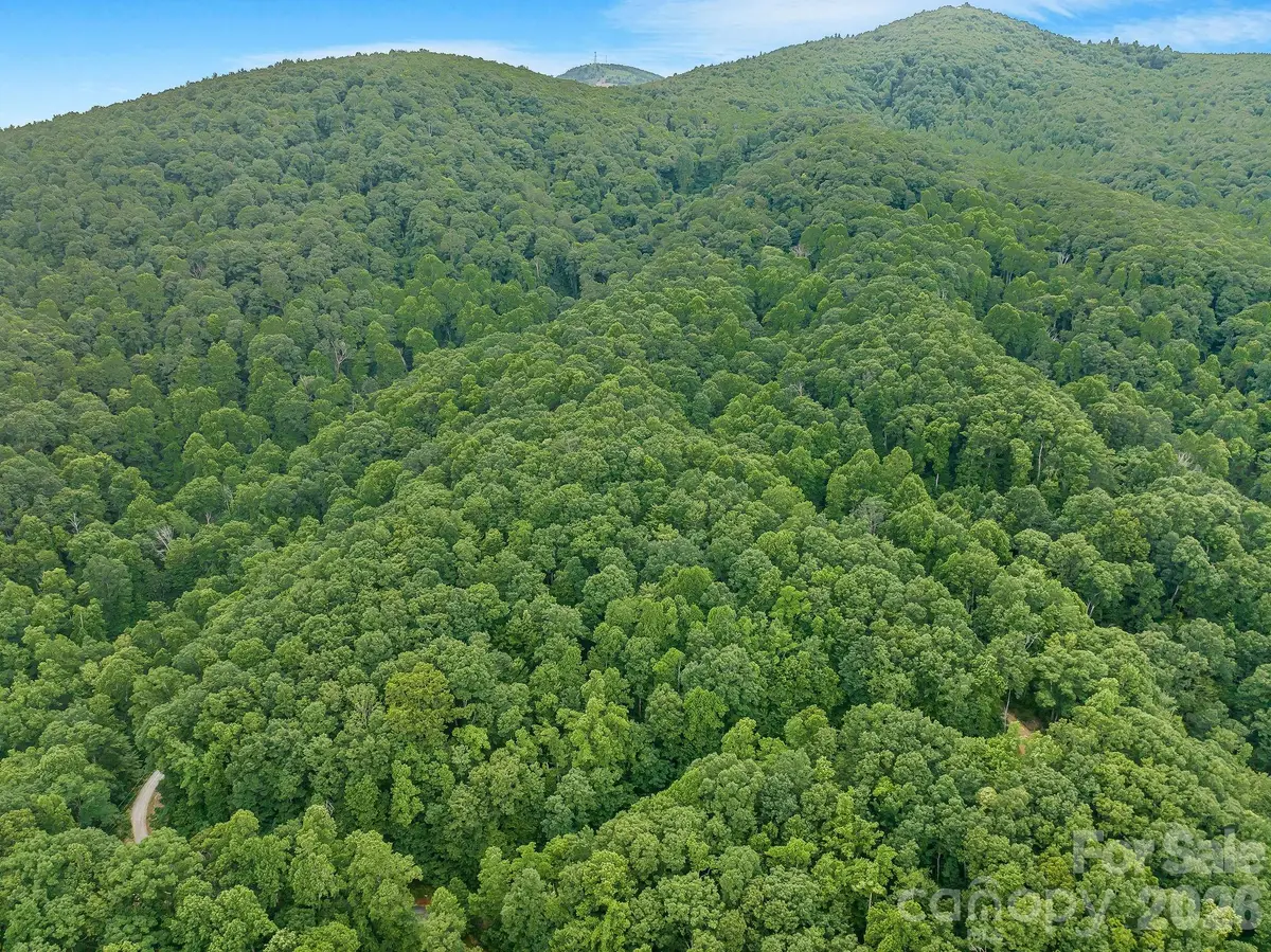 8 Carls Cove Road, Black Mountain, NC 28711 - #1