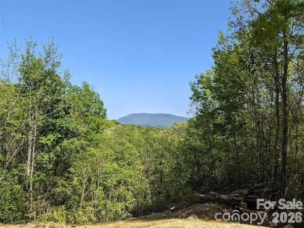 171 Nuthatch Lane #C-30, Black Mountain, NC 28711