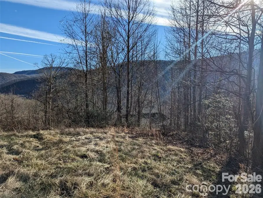 117 Ironwood Lane #C-20, Black Mountain, NC 28711 - #2