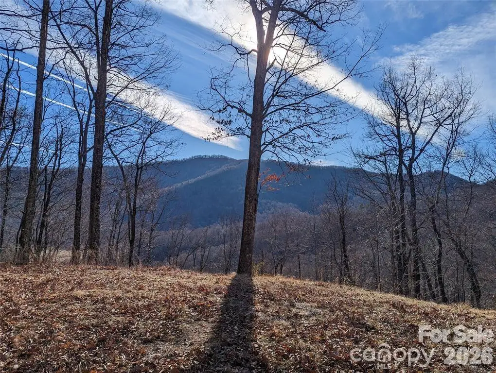 367 Kestrel Lane #T-85, Black Mountain, NC 28711 - #1