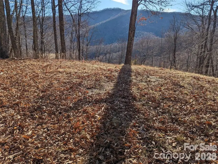 367 Kestrel Lane #T-85, Black Mountain, NC 28711 - #2