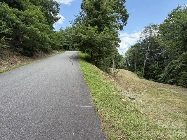 175 Renegade Ridge, Waynesville, NC 28785 - #3