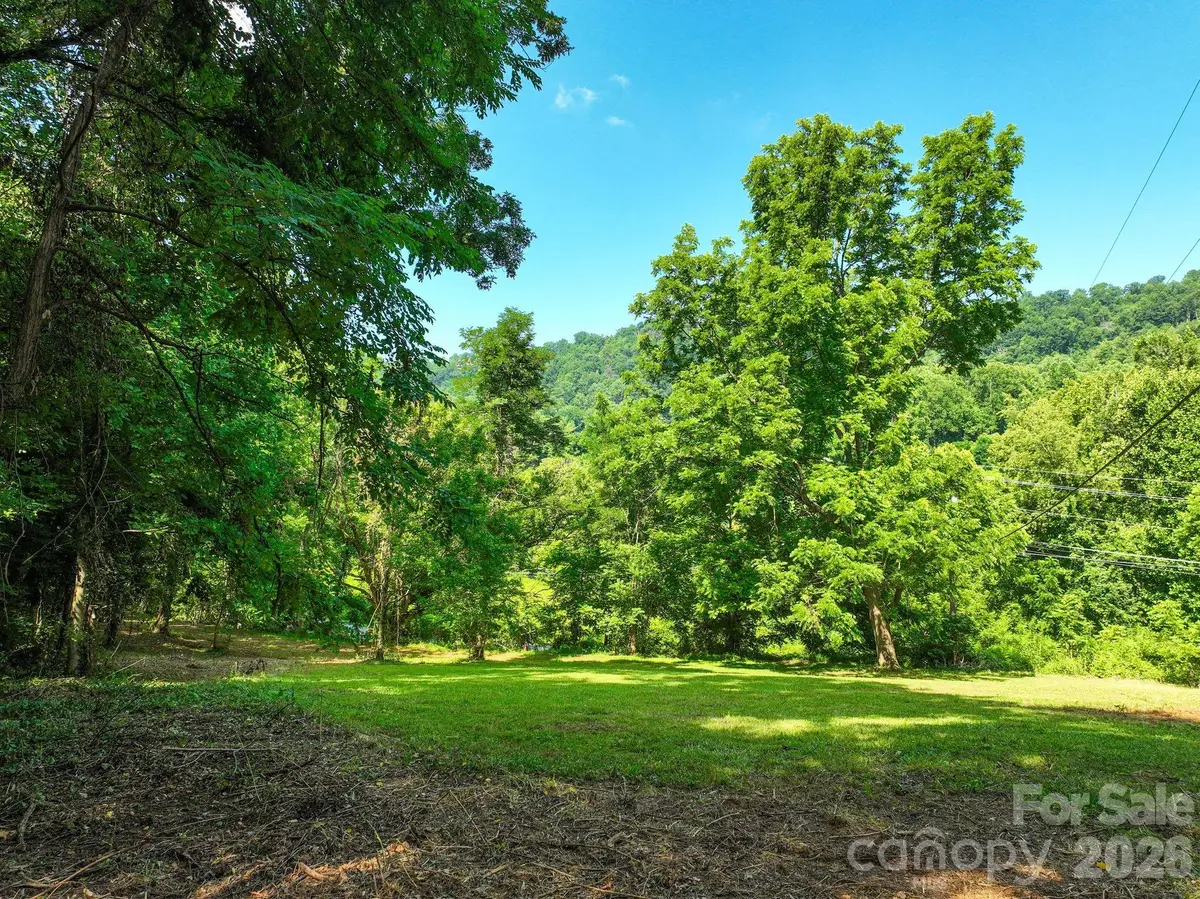 353 Chunns Cove Road, Asheville, NC 28805 - #1