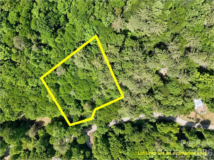 000 Enchanted Forest Drive #1, Sylva, NC 28779 - #3