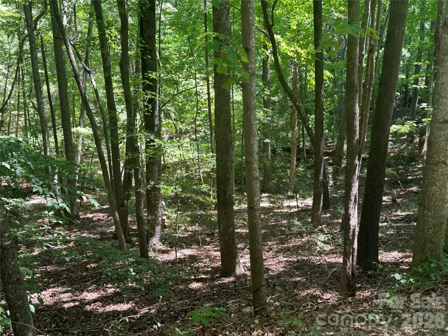 0 Knoll Court, Lake Lure, NC 28746 - #3