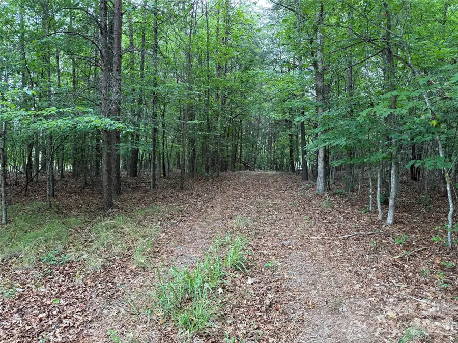 8169 Raccoon Track Drive, Sherrills Ford, NC 28673 - #2