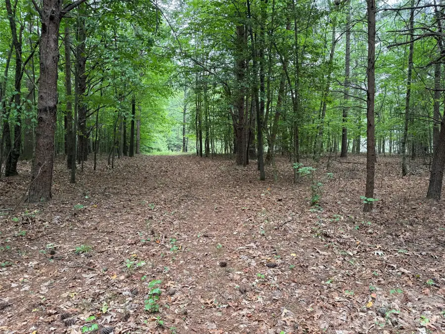 8169 Raccoon Track Drive, Sherrills Ford, NC 28673 - #3