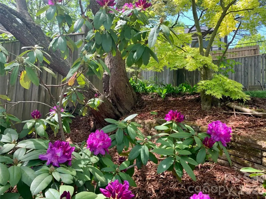 23 Tuskeegee Street, Asheville, NC 28801 - #2