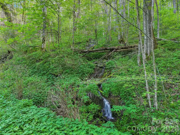 00 Star Crest Drive, Waynesville, NC 28785