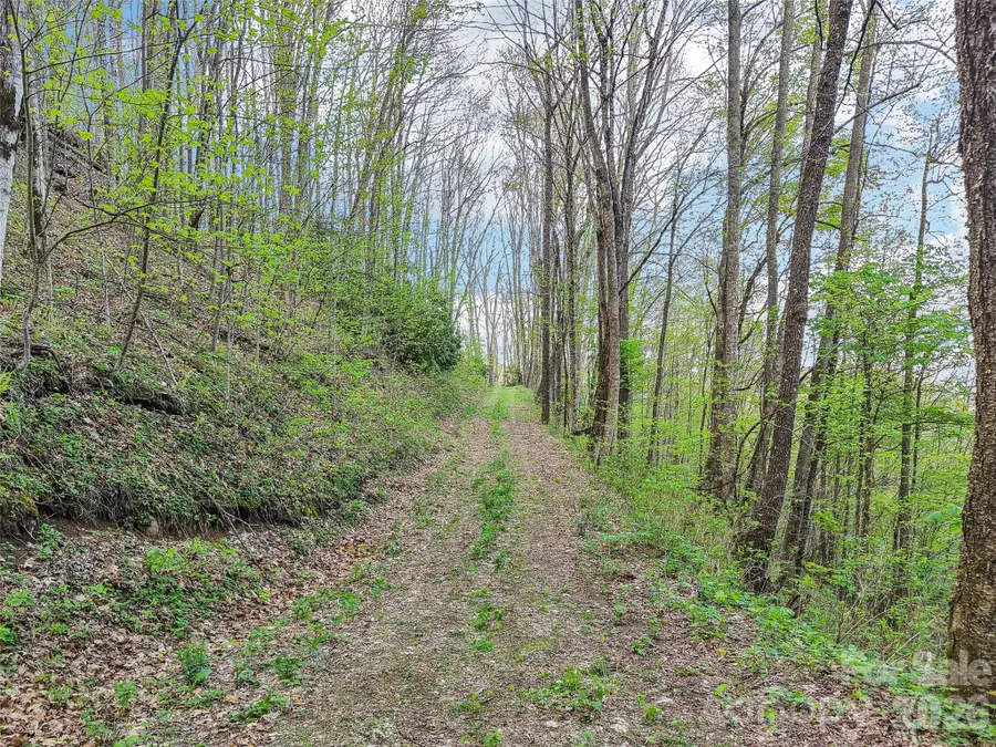 00 Star Crest Drive, Waynesville, NC 28785 - #2