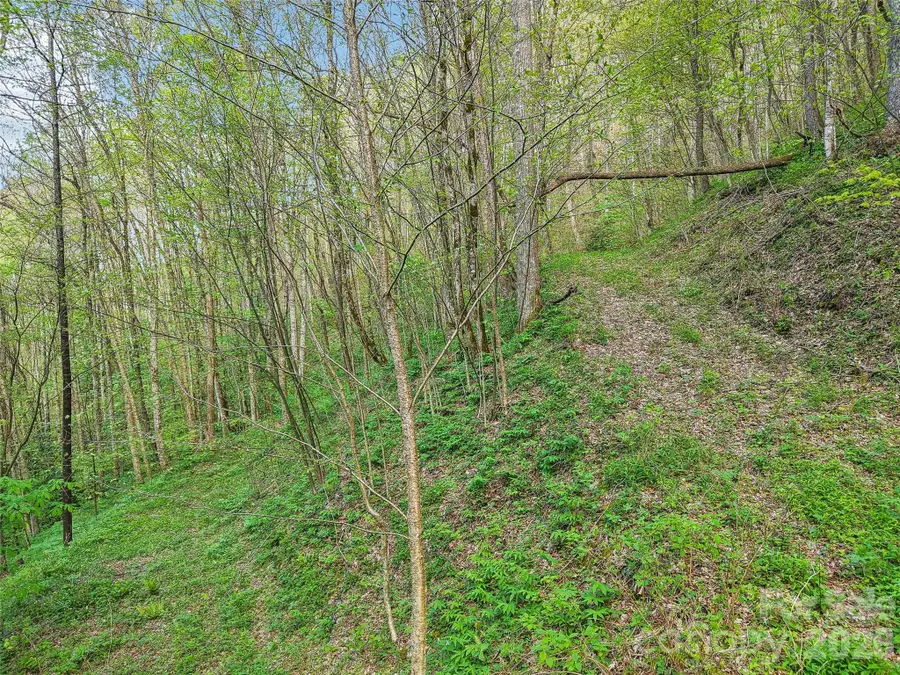 00 Star Crest Drive, Waynesville, NC 28785 - #3