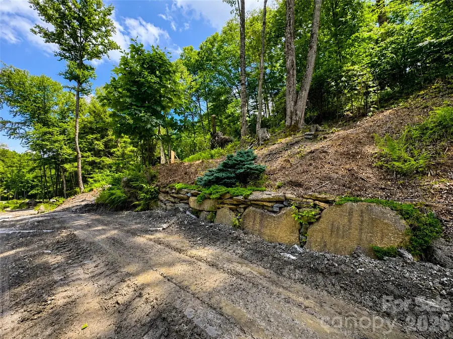 Lot 96 Eagles Nest Trail, Banner Elk, NC 28604 - #3