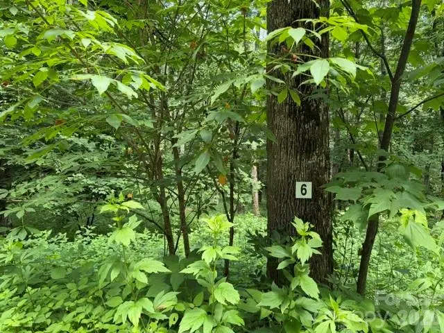Lot 6 Gadohi Trail #6, Maggie Valley, NC 28751 - #1