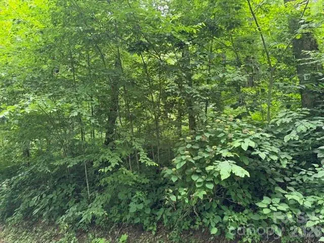 Lot 19 Iga Trail #19, Maggie Valley, NC 28751 - #2