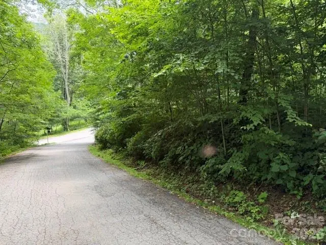 Lot 19 Iga Trail #19, Maggie Valley, NC 28751 - #3