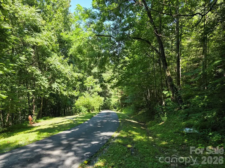 Lot 45 South View Court, Marion, NC 28752 - #3