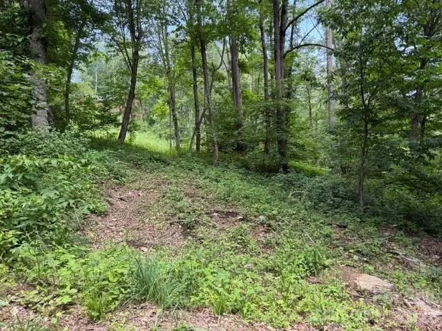 Lot 16 Iga Trail #16, Maggie Valley, NC 28751 - #3