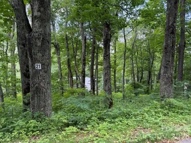 Lot 21 Odalu Trail #21, Maggie Valley, NC 28751 - #1