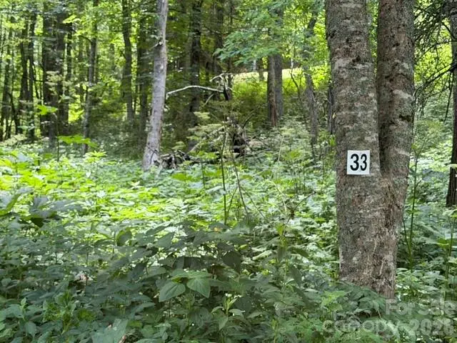 Lot 33 Toi Trail #33, Maggie Valley, NC 28751 - #1