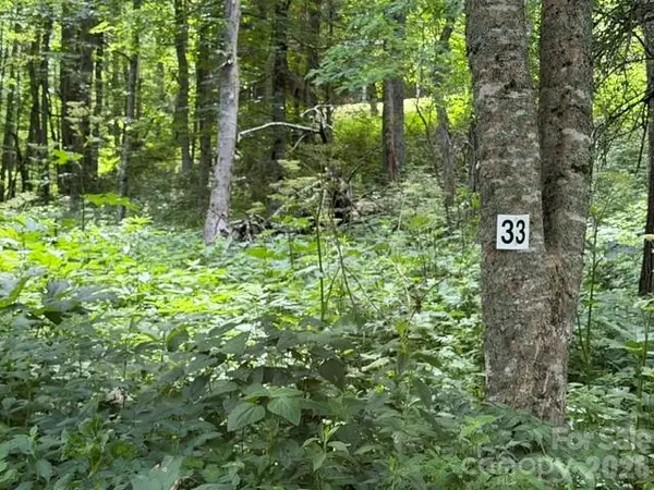 Lot 33 Toi Trail #33, Maggie Valley, NC 28751