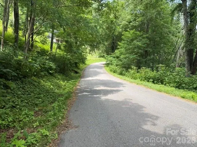 Lot 33 Toi Trail #33, Maggie Valley, NC 28751 - #3
