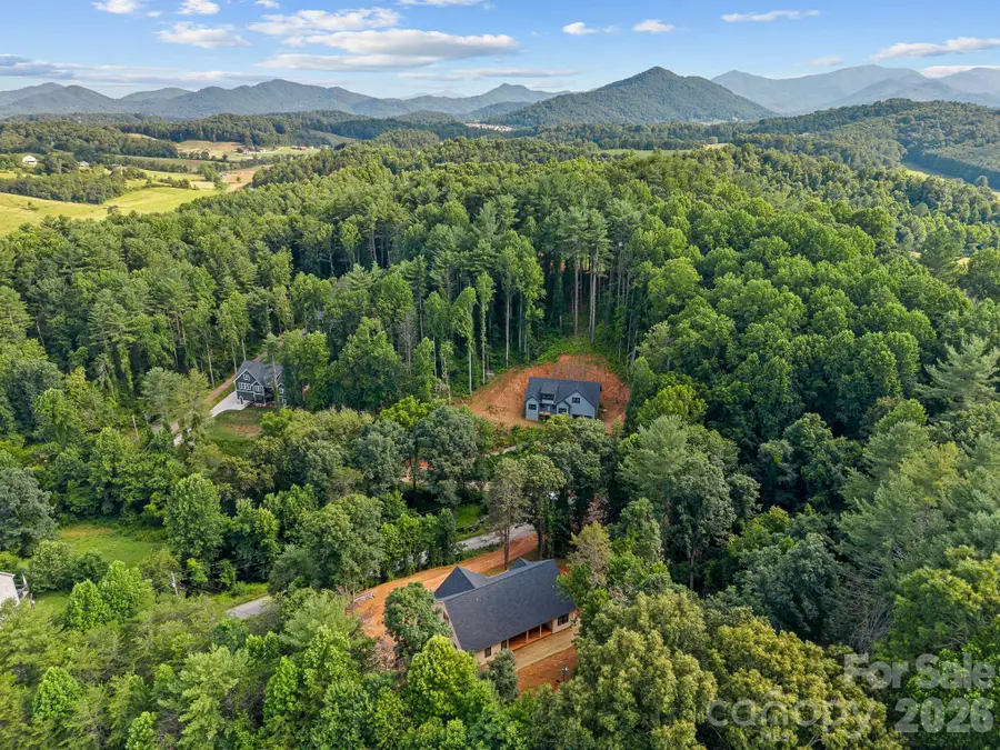 36 Gudger Road, Leicester, NC 28748 - #3