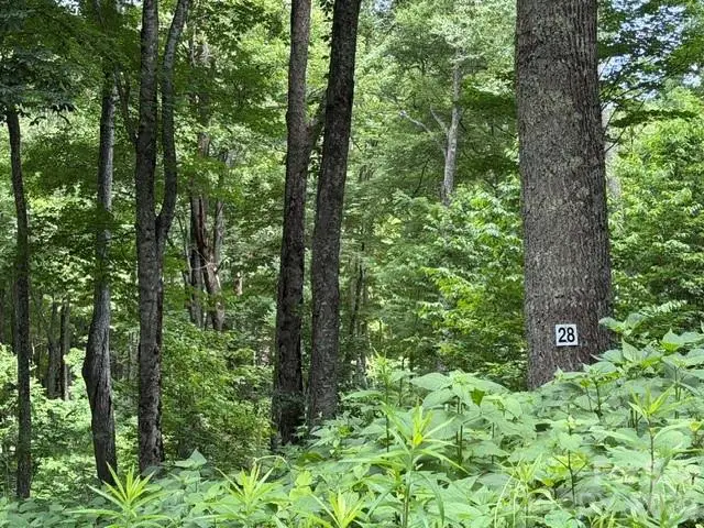 Lot 28 Toi Trail #28, Maggie Valley, NC 28751 - #1