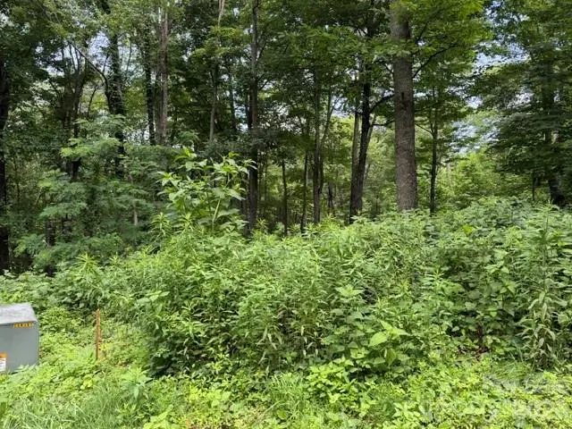 Lot 28 Toi Trail #28, Maggie Valley, NC 28751 - #3
