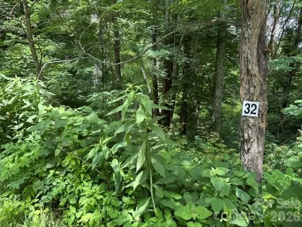 Lot 32 Toi Trail #32, Maggie Valley, NC 28751