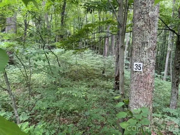 Lot 35 Odalu Trail #35, Maggie Valley, NC 28751