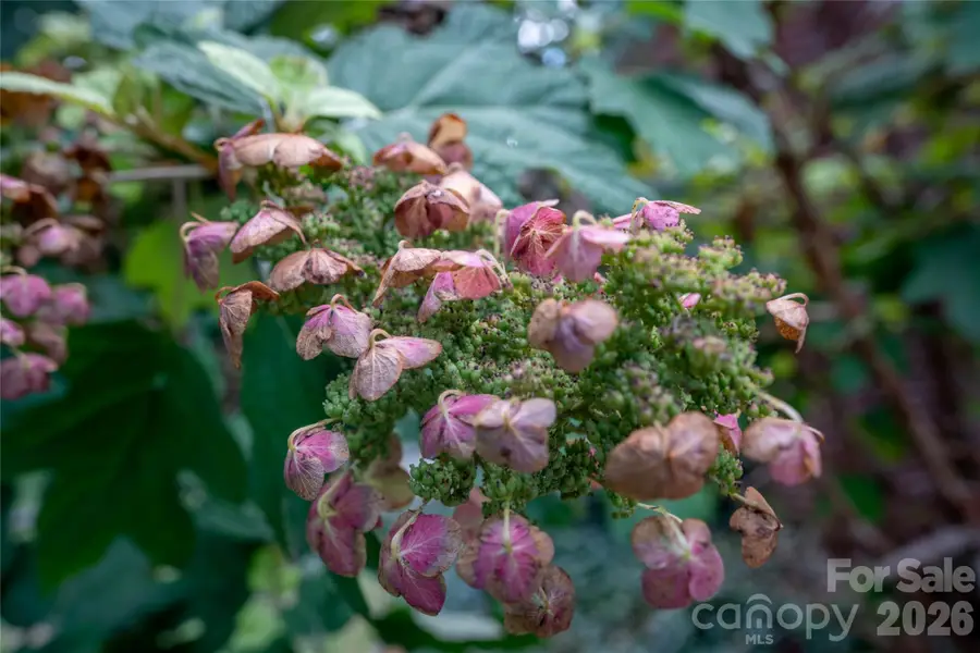 1271 Upper Brush Creek Road, Fairview, NC 28730 - #3