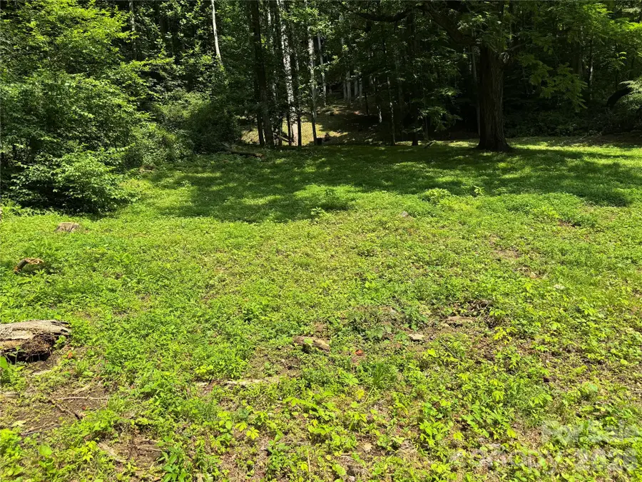 LT 18 Silverbell Lane #18, Waynesville, NC 28786 - #3