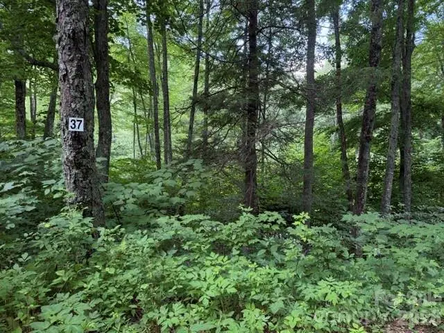 Lot 37 Odalu Trail #37, Maggie Valley, NC 28751 - #1