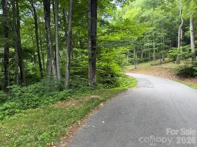 Lot 37 Odalu Trail #37, Maggie Valley, NC 28751 - #3