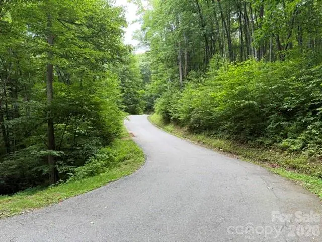 Lot 38 Yanasa Trail #38, Maggie Valley, NC 28751 - #2