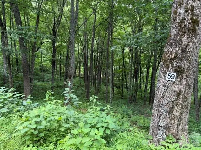 Lot 59 Odalu Trail #59, Maggie Valley, NC 28751 - #1
