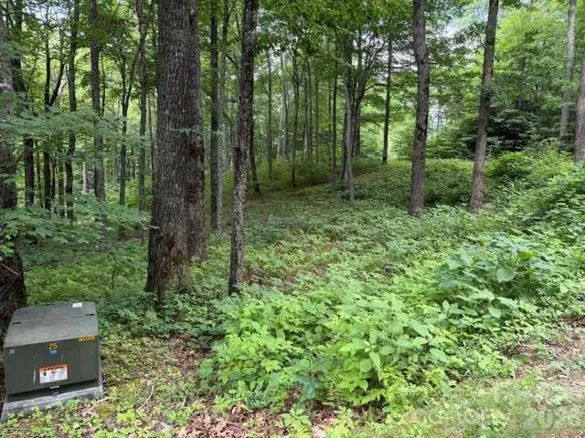 Lot 59 Odalu Trail #59, Maggie Valley, NC 28751 - #2