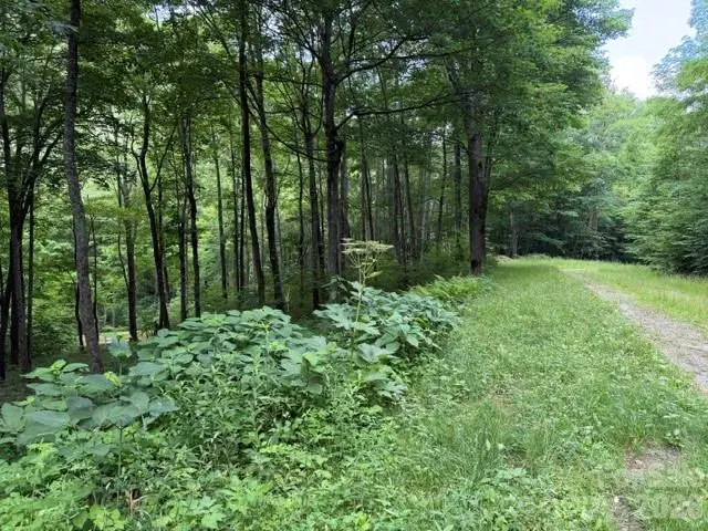 Lot 59 Odalu Trail #59, Maggie Valley, NC 28751 - #3