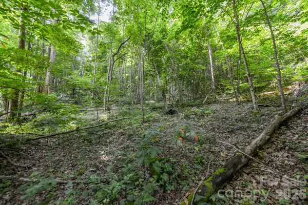 ### Board Tree Road #1, Marshall, NC 28753